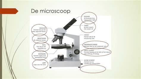 Diagram: welke onderdelen van een panoramadak en hun functies