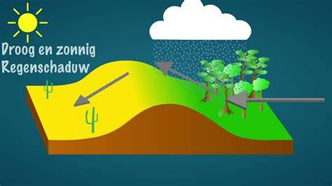 Infographic: hoe waterschade door regen ontstaat en welke verzekering welke schade dekt