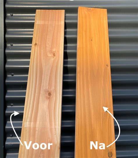 Infographic: Overzicht behandelingsopties voor Douglas hout (beits, olie, verf) en wanneer te kiezen