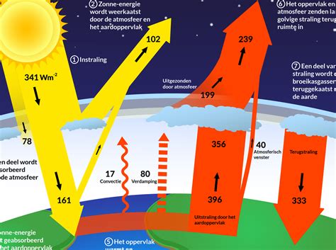 Infographic: Verschillende laminaatkleuren en hun effecten op ruimtegevoel