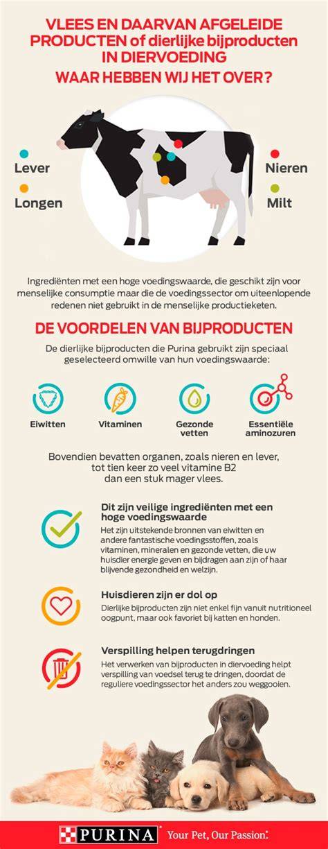 Infographic: Verdeling dierlijke bijproducten in Cat 1, Cat 2 en Cat 3 met voorbeelden en transportregels