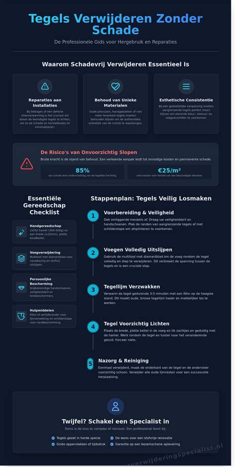 Infographic: Zelfhulpsstappen bij plafondlekkage zonder beschadiging