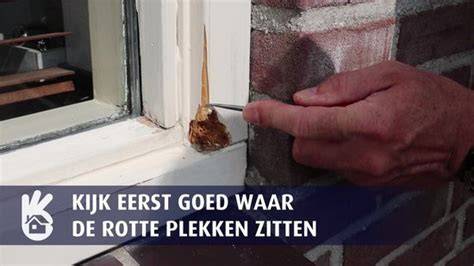 Infographic: Overzicht soorten houtvuller buiten