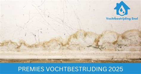 Infographic: Vochtbestrijding en afwerkingsoverzicht