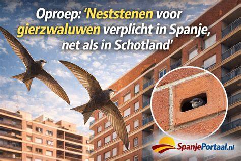 Voorbeeld van natuurinclusieve bouwoplossingen zoals neststenen