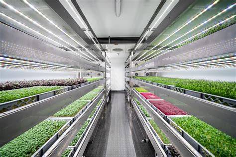 Schema van plantenruimtes en verticale teelt in een moestuinbak