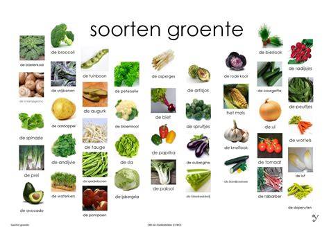 Overzicht met vergeten groenten en combinatiemogelijkheden