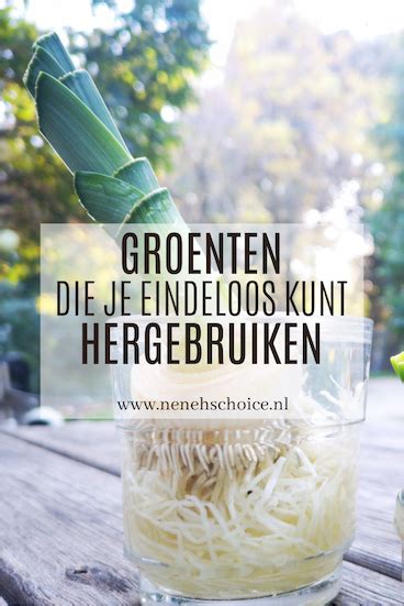 Infographic: vergeten groenten die je gemakkelijk kunt kweken