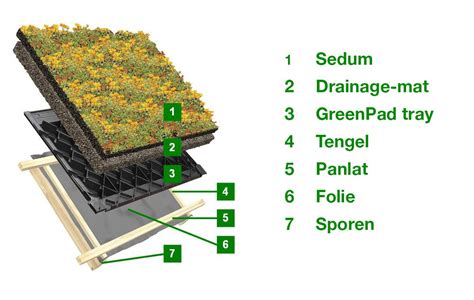 Schematische weergave van een multifunctioneel plat dak met verschillende functies zoals groen, waterberging en zonnepanelen.