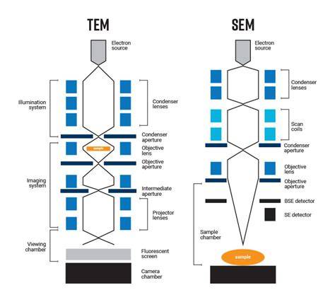 Overgangsperiode SEM vs PLM in asbestanalyse