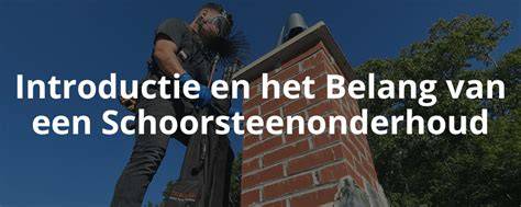 Diagram: processen van schoorsteenonderhoud en -renovatie