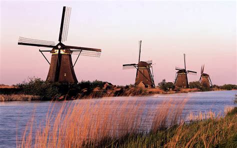 Foto's van molens met rietdekken en bindtechnieken