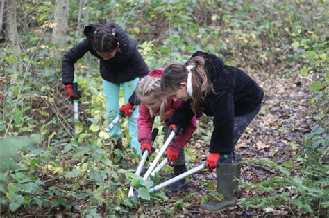 Om de natuur een handje te helpen gebruikt de traditionele bouw al enige tijd de zogenoemde invliegopeningen voor vogels die in het leefgebied van de bouw voorkomen.