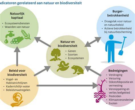 Diagram: fluctuaties in biodiversiteit en de impact van isolatiemaatregelen