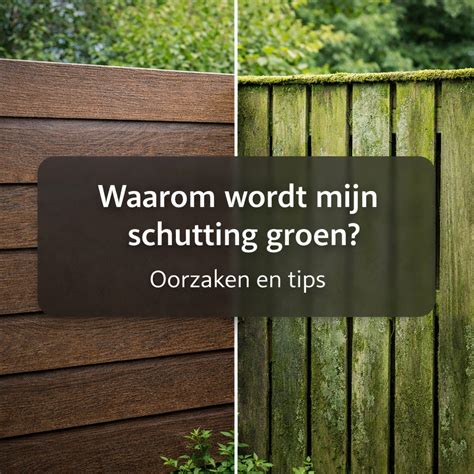 Infographic: Vergelijking houten schutting, natuurlijke matten en composiet