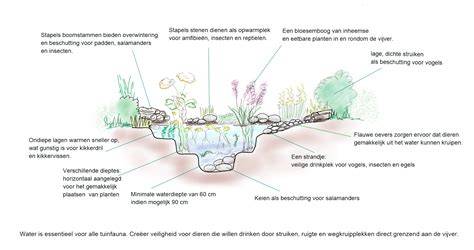 Diagram van vijver met U-profiel en randafwerking