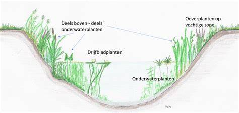 schematische weergave uitgraven, ophoogzand en plaatsing opsluitband
