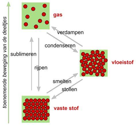Diagram: Voorbewerking, primer, en afwerking fasen