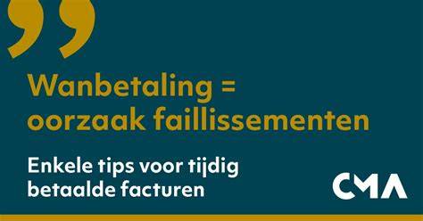 Infographic: Oorzaken van faillissement en cashflow-stromen