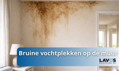 vochtplek op muur badkamer