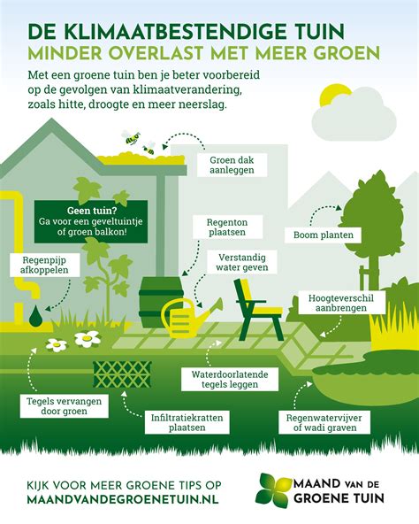 Infographic met tips voor een groene tuin