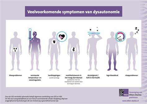 Infographic: Veelvoorkomende cv-ketelstoringen en snelle acties