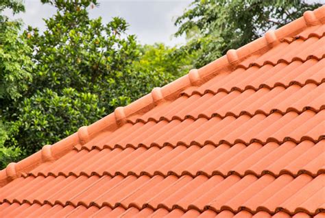 Foto van een dak bedekt met betonpannen