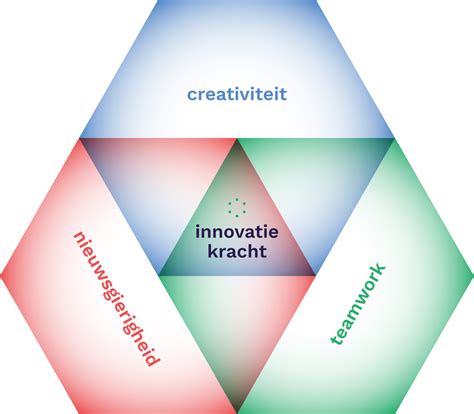 Infographic: Kernactiviteiten en processtappen van Meijer en Duinmeijer Bestratingen B.V.