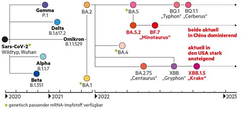 InfographicOSB-varianten-en-vochtbestendigheid