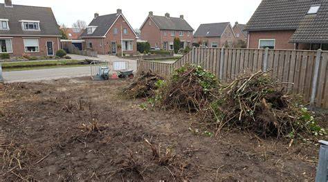 Afbeelding: Voor-en-na vergelijking van een verwaarloosd terrein vs. schoongemaakt terrein in Purmerend