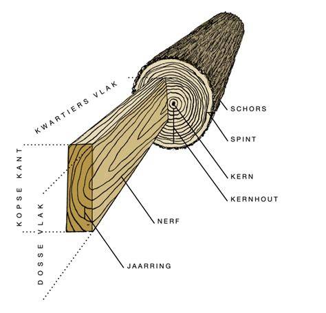 Infographic over doorslaan en bloeden bij houtsoorten