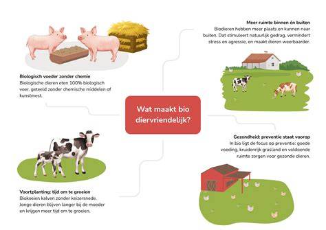 Infografiek: MDF-bouwstenen en voordelen