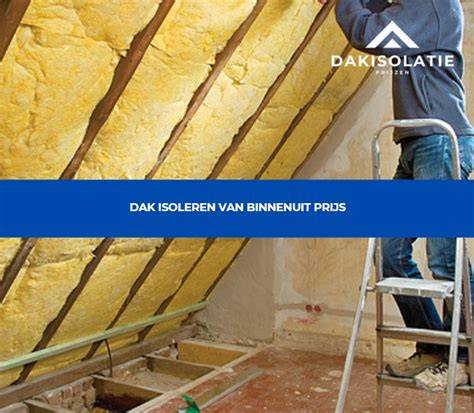 Dakisolatie: diagram van binnen- en buitenisolatieopties voor plat en schuindak