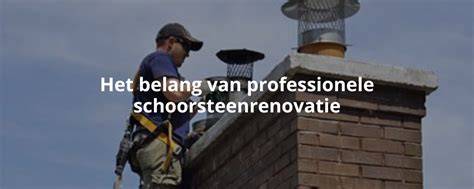 Diagram: stappenplan professionele schoorsteenrenovatie