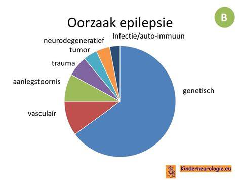 Infographic: Oorzaken van rioollucht en hoe te handelen
