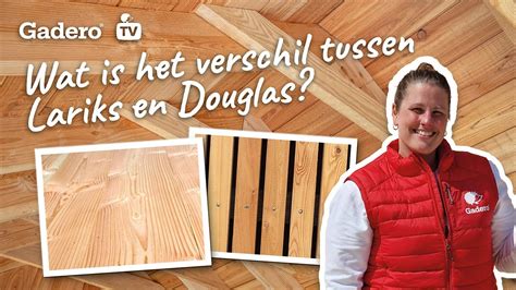 Diagram: Levensduurverwachtingen van lariks vs. Douglas vs. composiet