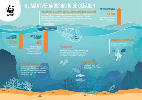 Infographic: oorzaken en gevolgen van vochtschade in plafonds