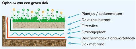 Diagram: lagen groen dak (waterdicht - drainagelaag - filterdoek - substraat - vegetatie)