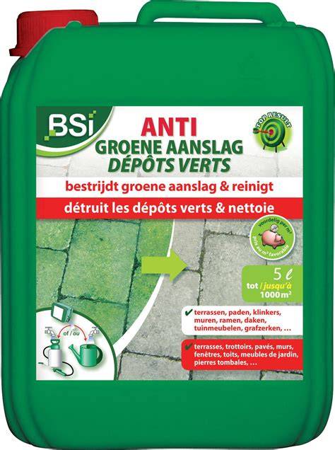 Diagram: preventietips tegen groene aanslag (afwatering, coating, materiaalkeuze)