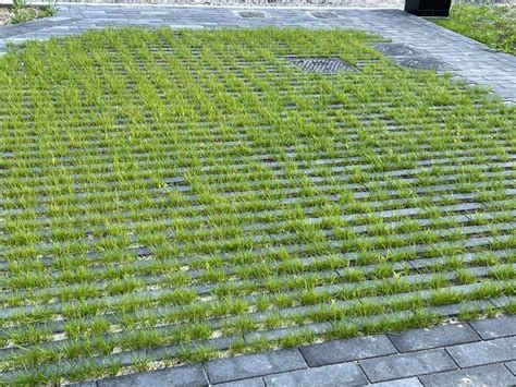 Showtuin met voorbeelden van waterdoorlatende tegels
