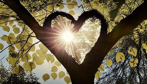 Illustratie van de verbinding tussen een scooterband en velg, met pijlen die wijzen op mogelijke lekpunten.