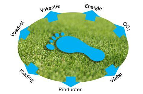 Infographic: Beeldrijke schets van ecologische woongemeenschappen met moestuinen, wateropvang en gemeenschappelijke ruimten