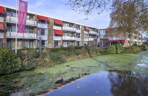 Infographic: Structuur van De Schutse Lopik en Serviceappartementen