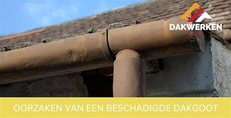Infographic: Oorzaken van verstopping in dakgoot en hemelwaterafvoer
