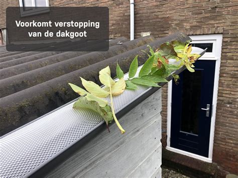 Diagram: Signalering van verstopping in dakgoot en regenpijp