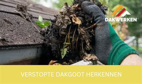 Diagram: Stappenplan bij verstopte dakgoot