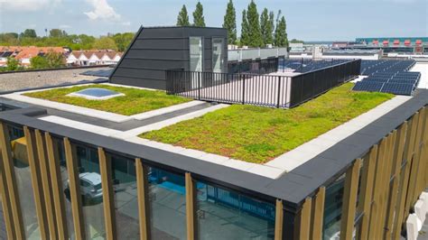 Illustratie van de groene tuin op het dak van het Circl gebouw met vlinders en bijen