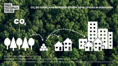Schema dat CO2-opslag in beton illustreert.