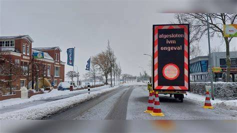 Afbeelding: cross-section van hout met ingesloten oliefilm