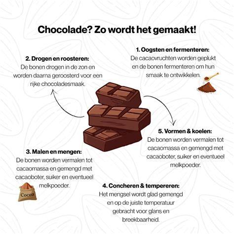 Infographic: Wat is Trespa en hoe wordt het gemaakt?